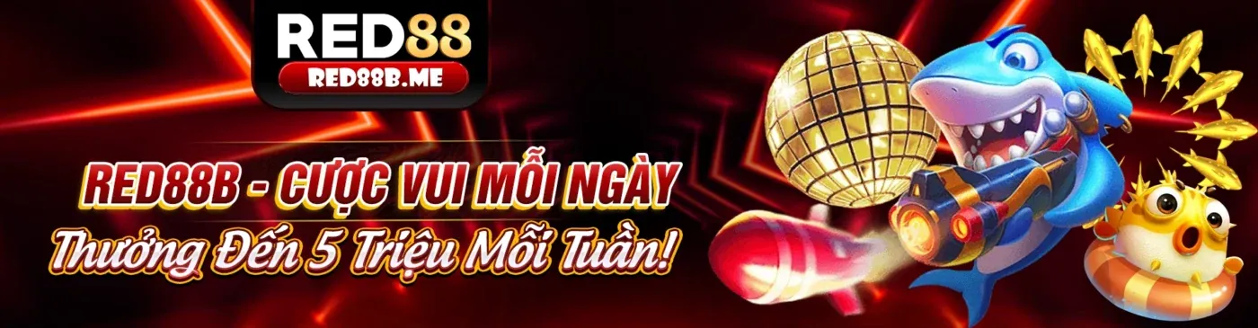 Hình nền trang đăng nhập suncity nhà cái sôi động